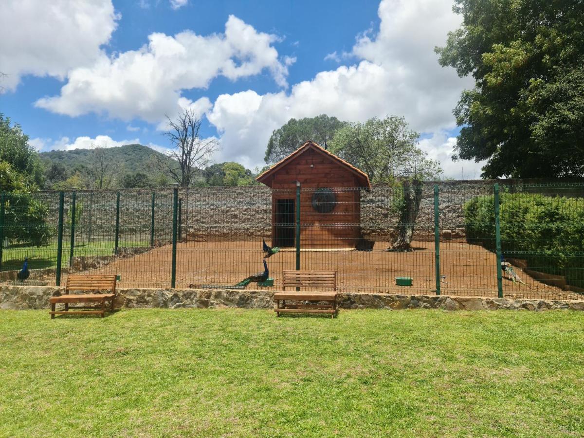 Finca Los Angeles Hospederia & Sociales Huasca de Ocampo Eksteriør bilde