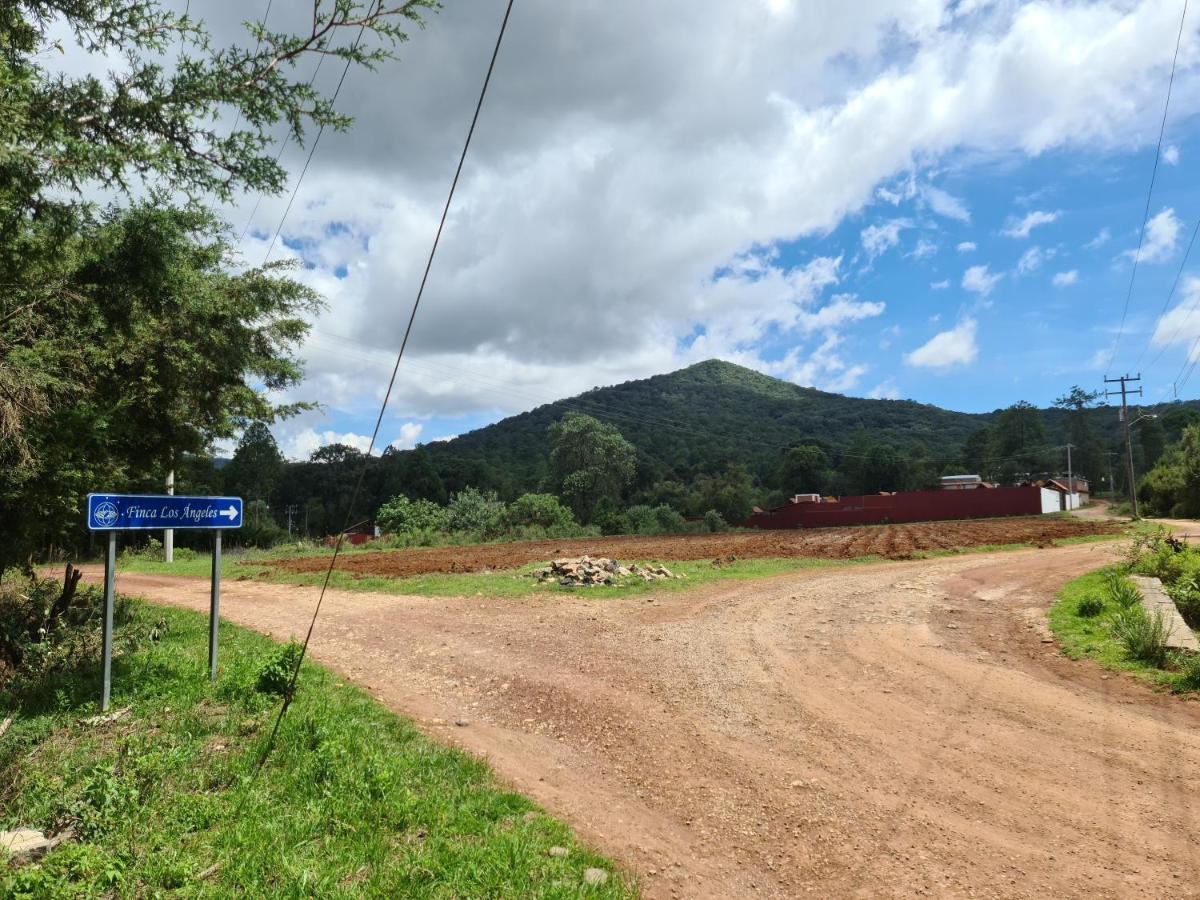 Finca Los Angeles Hospederia & Sociales Huasca de Ocampo Eksteriør bilde