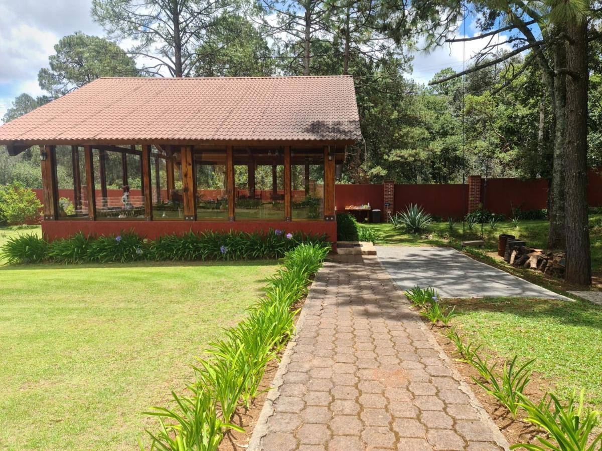 Finca Los Angeles Hospederia & Sociales Huasca de Ocampo Eksteriør bilde